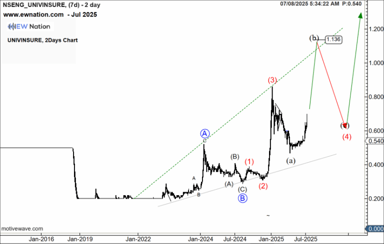UNIVINSURE rallies but still in correction