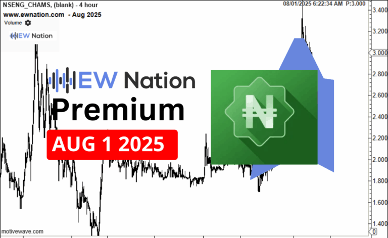 Chams August 1 update