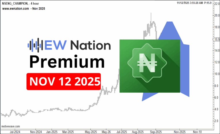 Champion November 12th, 2025 Update