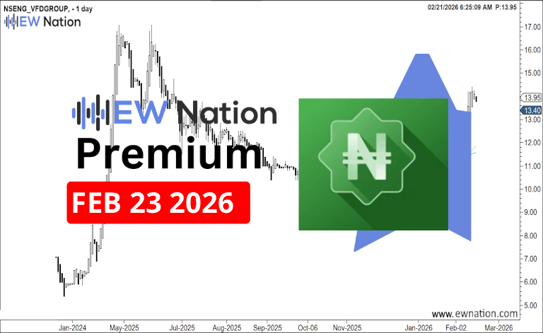 VFDGroup February 23th, 2026 Update